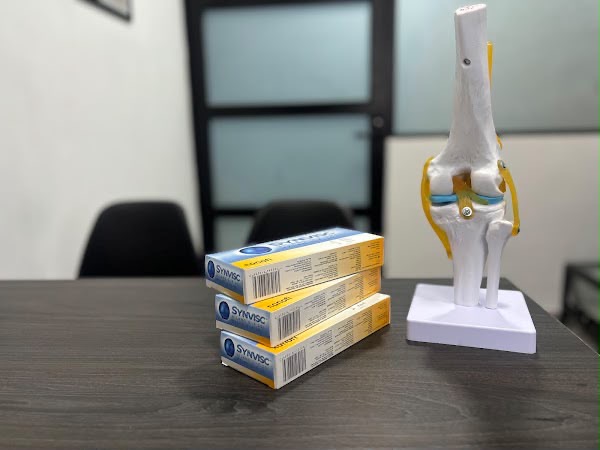 Modelo anatómico de rodilla y viscosuplementación